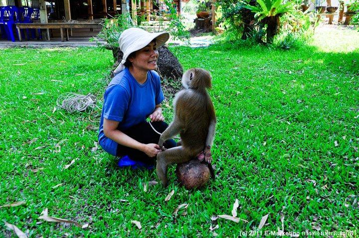 Ruean Thai Nai Bang By Pansak Resort Surat Thani Eksteriør bilde